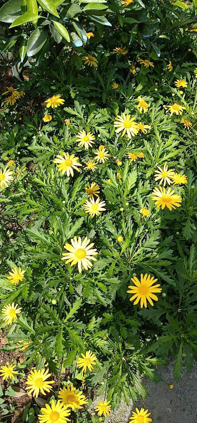 驱逐舰上面只携带几十枚导弹，战争中打光了怎么办？插图60