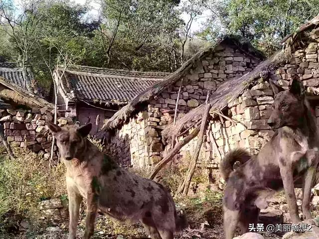 灵异小说，有什么灵异小说推荐超级惊悚吓人的那种，我不怕，要很吓人的那种