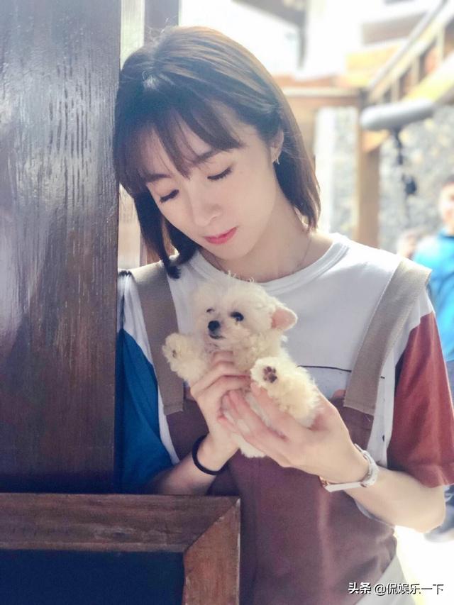 胡冰卿图片:娱乐圈中有哪些演技和颜值都很好却没有走红的女演员