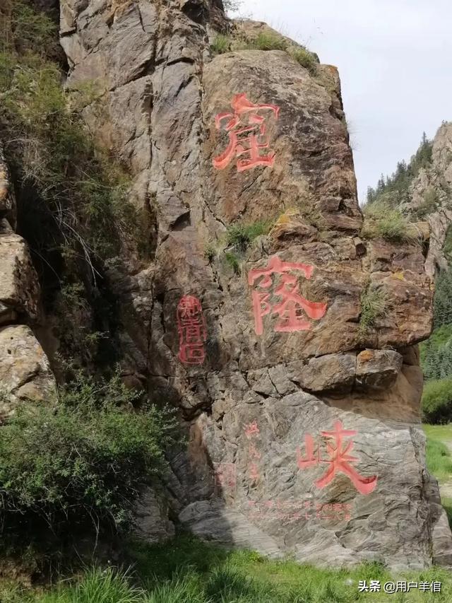 上海李雅:退休之后，你会去上老年大学吗想学什么