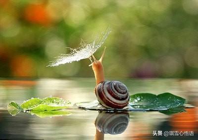 白月光:“白月光”在爱情中代表着什么含义