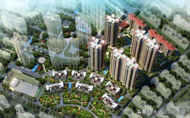 武汉板车哥:你觉得网红是什么粉丝又是什么呢