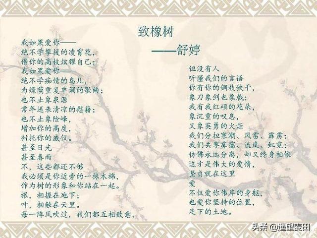 如何理解《致橡树》这首诗？