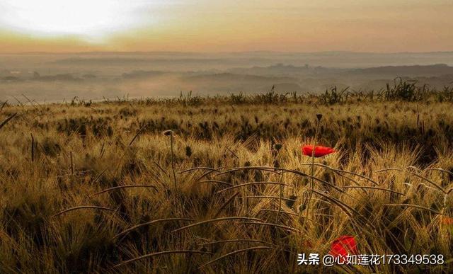 怎么改变一个人的心态:心累怎么调整心态？有什么值得推荐的经验吗？(心情不好怎么调节心态)