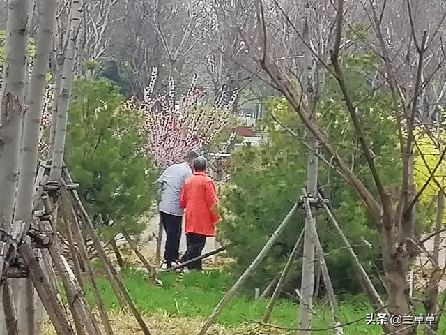 爷爷奶奶给你讲过那种让你一辈子都无法忘记的故事吗？