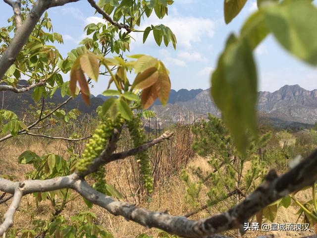马致远故居:北京疫情期间去哪里徒步旅行好？