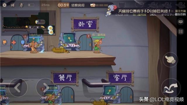 猫比特犬网易:猫的反应速度为什么那么快？