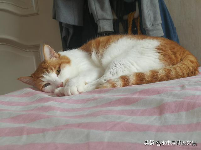 拜宠爽和福来恩:母亲刚去世老爸贴了春联和福字，我应不应该撕下来？