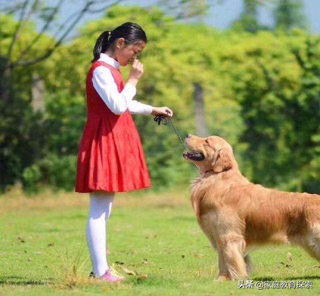 吹替宠物的秘密生活:如何说服家里的小孩子不养宠物？