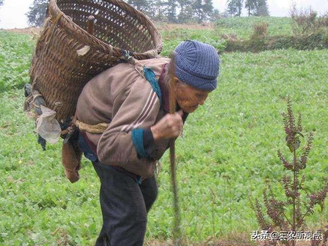 出生于解放前的农村老人有养老金吗？