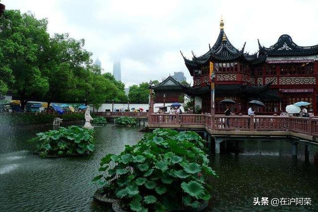 上海去哪里玩比较好，一个人去上海到哪里玩比较好