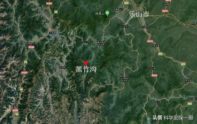 河马哥刘惠璞:壮年河马、北极熊和东北虎这三样动物打起来谁厉害？