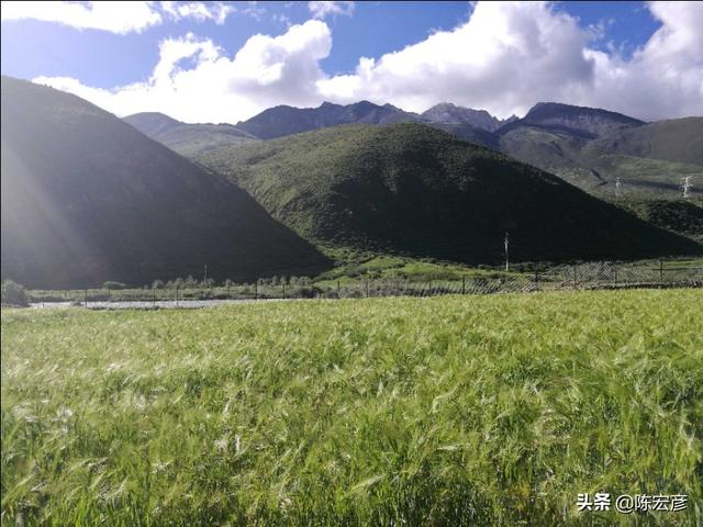 萨顶顶闪婚:我身边有很多闪婚的朋友，闪婚后又想闪离，是什么原因？