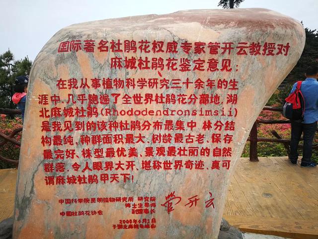 小狗种鲜花在线玩:为什么有些人玩游戏喜欢玩新区？