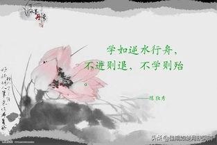 头条问答 逆水行舟不进则退如何解释 有出处典故吗 11个回答