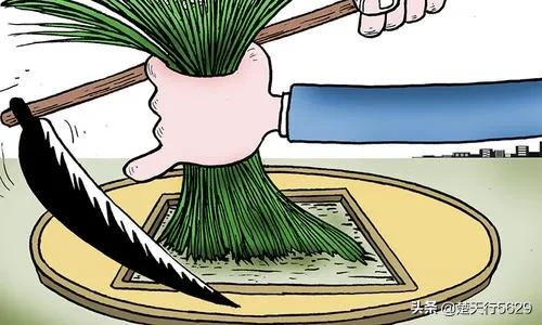 为什么2021年以来券商一直跌跌不休？
