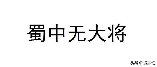 蜀汉后期无人可用,是因为国小人少,还是诸葛亮不会用人？