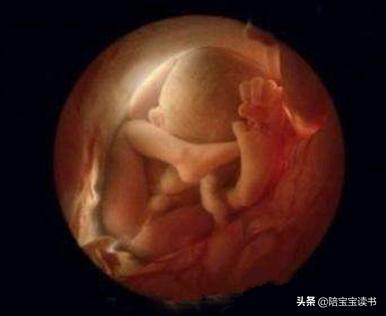 孕晚期是胎儿猛涨期吗？具体是哪几个周？插图41