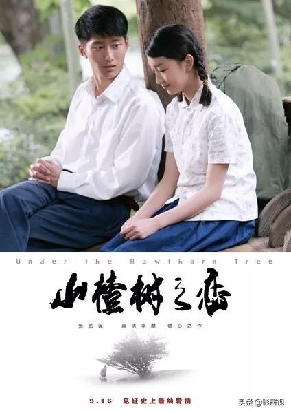 山楂树之恋东来东往:如何评价《山楂树之恋》的歌词？