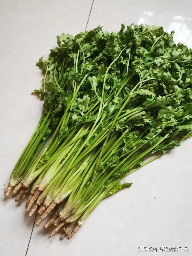 香菜根煮水喝的好处有哪些？插图7