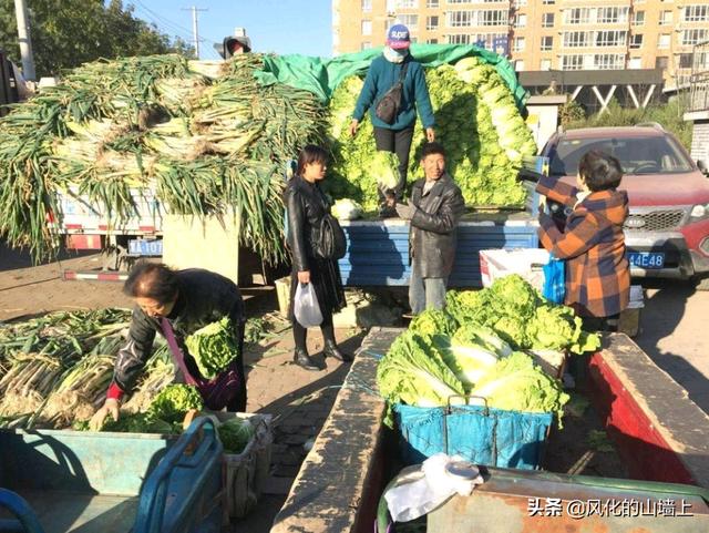 下体被塞黄瓜红酒，去过东北的朋友，说一说在东北的感受如何？