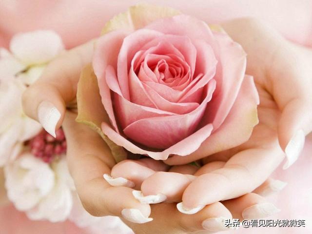 宠物婚配策划书:如何在婚姻中，保持“谈恋爱”的状态？