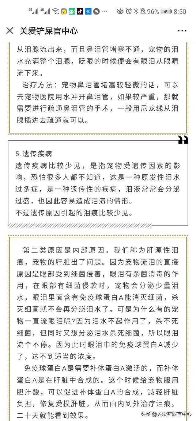 宠物泪腺炎症状:泪腺炎症状图片 狗狗有泪痕，你觉得这跟上火不上火有关系吗？为什么？