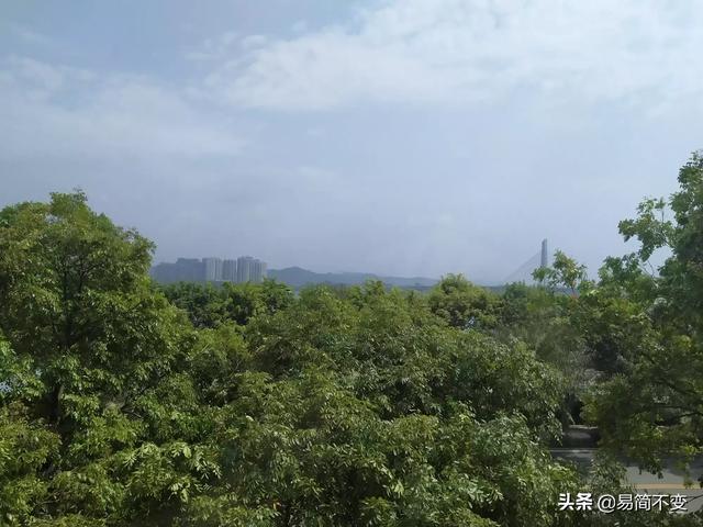你听过最搞笑的成语有哪些