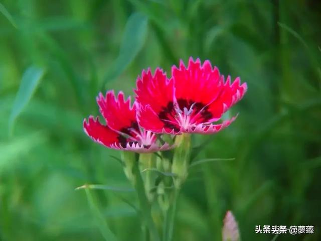 头条问答 5月日 今天 你有说我爱你吗 24个回答