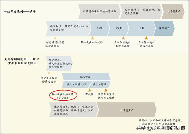 疫苗新冠病毒研发成功,新冠病毒的疫苗研发进展如何