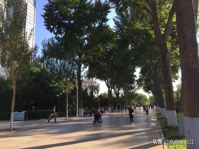 到哈尔滨旅游，去哪里玩好？