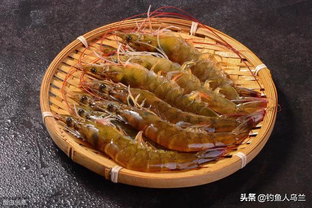 扯旗鱼吃黑壳虾吗:怎么我的神仙鱼会吃黑壳虾的？