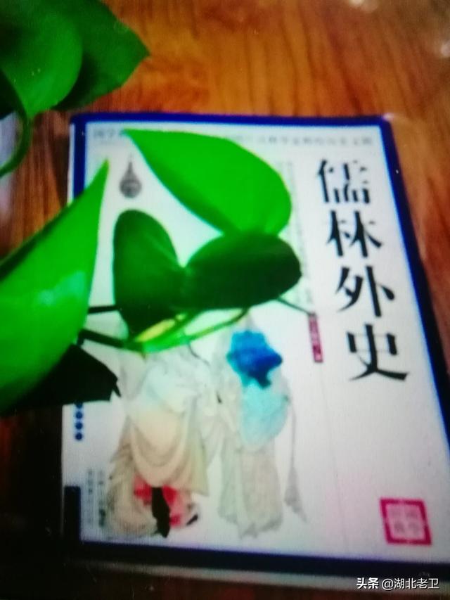 吴敬梓简介:为什么吴敬梓在《儒林外史》中多用婉讽，不直接讽刺？