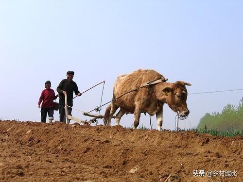 北京上空出现两条龙是真的吗，农村老人说，明年是二龙治水，十一牛耕田，十人分饼，什么意思