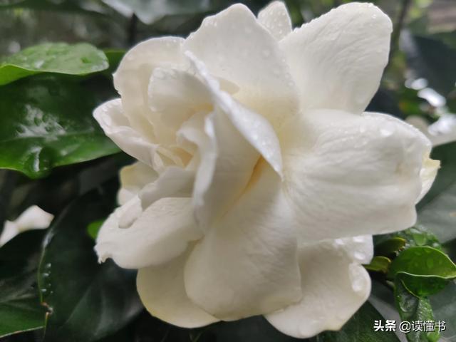 你觉得戴口罩好还是不戴口罩好？哪个牌子的口罩性价比高？
