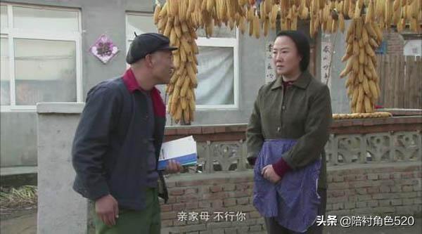 张一龙:有什么好看的国内乡村电视剧？