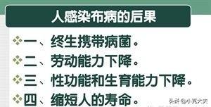 布病终身携带一辈子痛苦:牛群得了布病，会自愈吗？