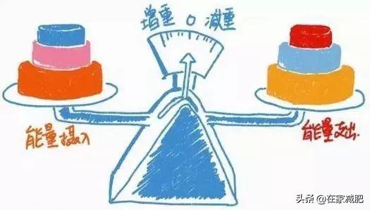 减肥期间油脂类不能吃,碳水化合物的米面谷物不能吃,是不是就只能吃蛋白质和蔬菜了？