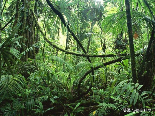 海蛇全部都是毒蛇吗，蛇、蜈蚣、海蛇的毒是如何产生的，是胎里带的吗