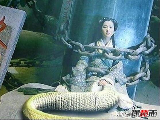 龙迷凤店:古人云：龙配龙！凤配凤！老鼠生来打地洞说的对吗
