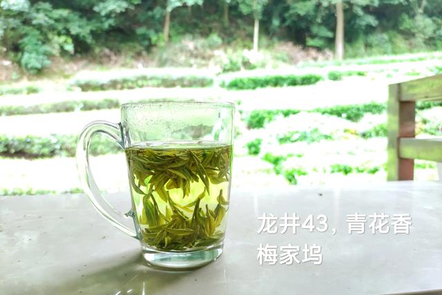 茶叶和树叶有何不同，三万块的茶叶和三百的茶叶有什么区别吗