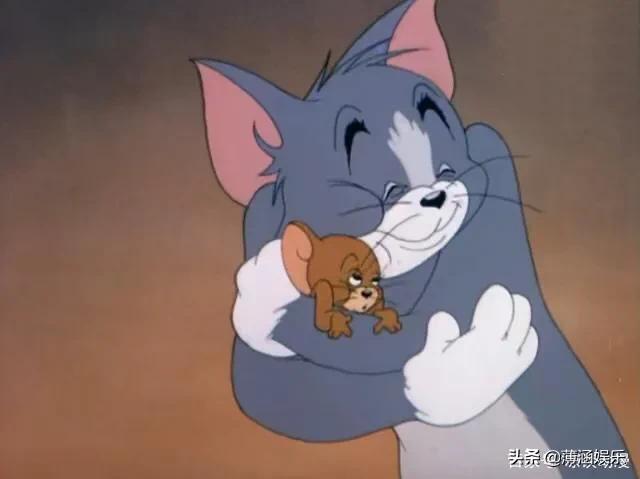 搞笑猫咪和狗狗图片:同时养一只猫和一只狗是种怎样的体验？