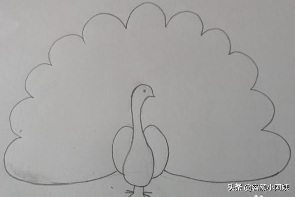 孔雀简笔画,孔雀的简笔画带颜色步骤？