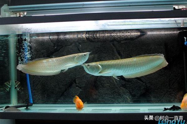 最吉利旺财的微信名一个字:农村俗语:富不添丁，穷不添女，为什么