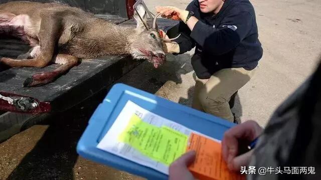 僵尸病毒:新冠病毒变异这么快，是否会变异成丧尸病毒？