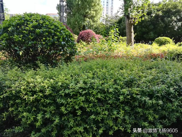 长沙单身微信交友微信群:30离异女在外面被陌生人加了微信，承诺结婚买车买房靠谱吗？