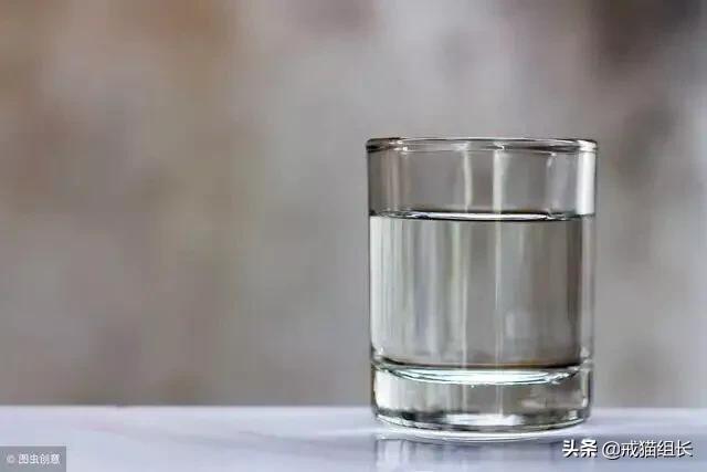 福原爱宠物医院赖教授:赖氨酸膏，是养猫必备吗？