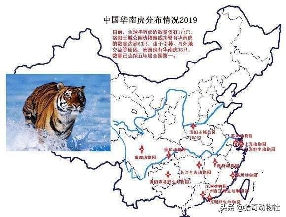 如何判断一个物种是否灭绝？