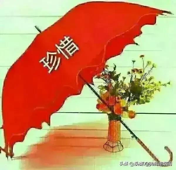 胡杏儿前男友:87年的大龄剩女恋爱长跑7年发现对方劈腿怎么办