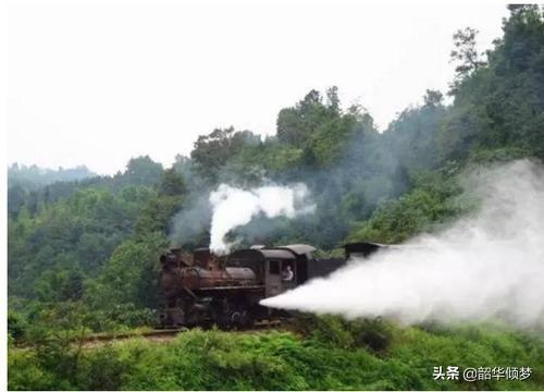 你的家乡有没有出过匪夷所思、骇人听闻的案件？